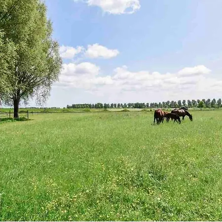 Dom wakacyjny In Close To Schiphol Hoofddorp